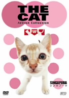 THE CAT シンガプーラ