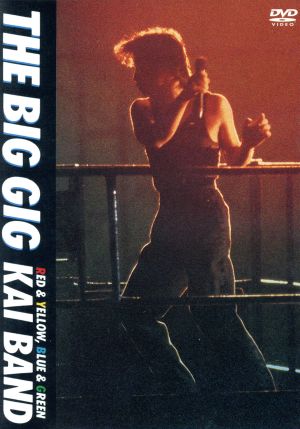 見体験！BEST NOW DVD::THE BIG GIG