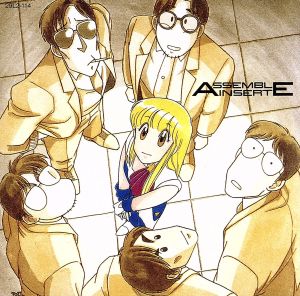 アッセンブル・インサート