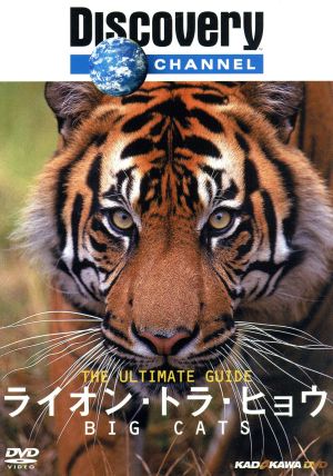 Ultimate Guide ライオン・トラ・ヒョウ
