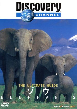 Ultimate Guide ゾウ