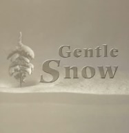 Gentle Snow