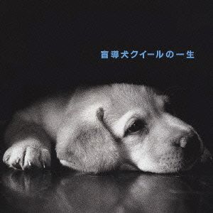 「盲導犬クイールの一生」