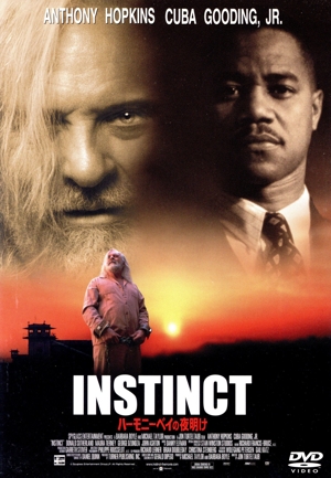 ハーモニーベイの夜明け