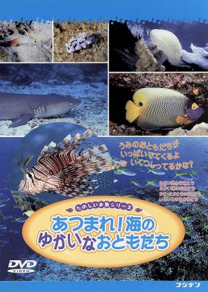 あつまれ！海のゆかいなおともだち