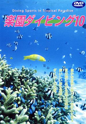 Sea of The World 楽園ダイビング-10 KERAMA