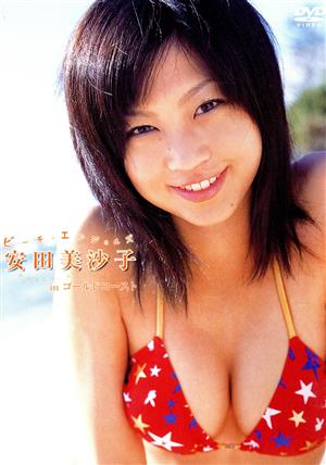 Beach Angels 安田美沙子 in ゴールドコースト