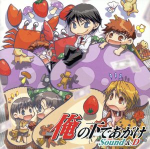 北へ。White Illumination PURE SONGS and PICTURES 中古CD | ブック
