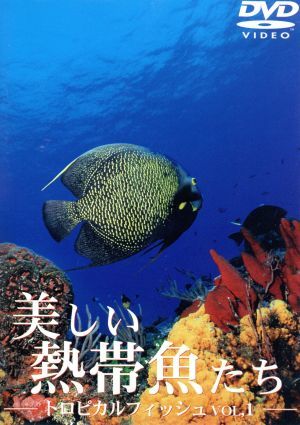 美しい熱帯魚たち-トロピカルフィッシュ- VOL.1