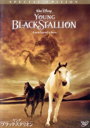 ヤング・ブラック・スタリオン 特別版
