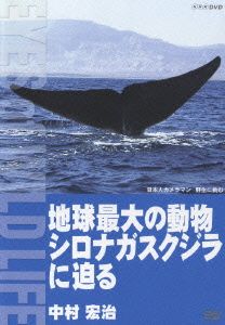 地球最大の動物 シロナガスクジラに迫る