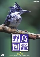 野鳥図鑑 第1集