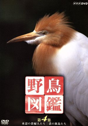 野鳥図鑑 第4集