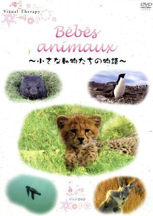 NHK DVD Bebes animaux -小さな動物たちの物語-