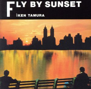 FLY BY SUNSET