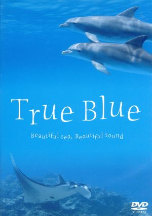 True Blue Beautiful sea,Beautiful sound