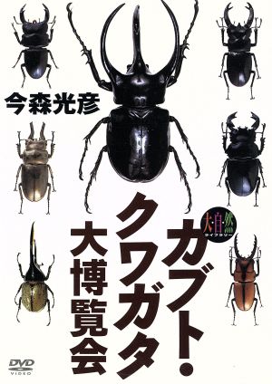 大自然ライブラリー カブト・クワガタ大博覧会