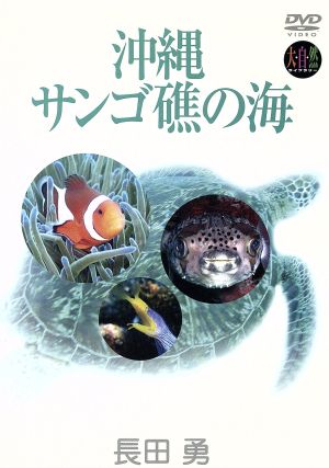 大自然ライブラリー::沖縄・サンゴ礁の海 長田 勇