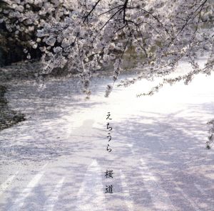 桜道