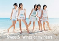 wings of my heart