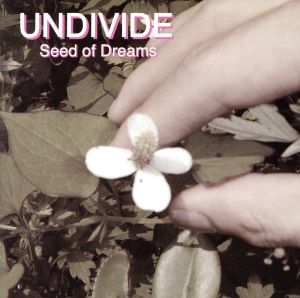 SEED OF DREAMS