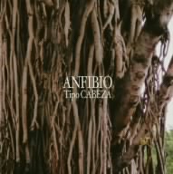 Anfibio