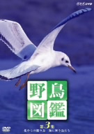 野鳥図鑑 第3集