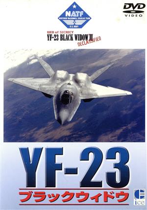 YF-23 ブラックウィドウ