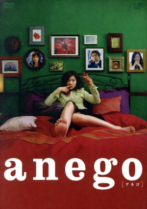 日本製 TVドラマ anego(アネゴ) DVD-BOX〈4枚組〉 DVD DVD