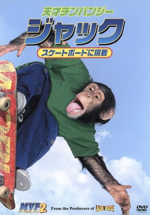 天才チンパンジー・ジャック スケートボードに挑戦