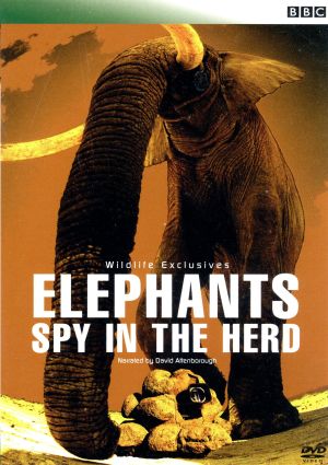 Elephants Spy in the Herd/BBC Wildlife Exclusives