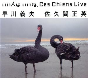 いいひとはいいね。 Ces Chiens Live