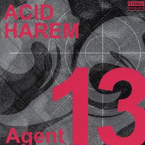 Agent 13