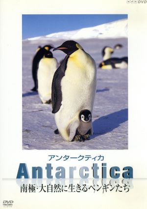 Antarctica ～南極大自然に生きるペンギンたち～