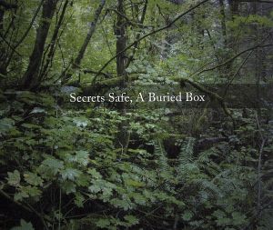 Secret Safe-A Buried Box