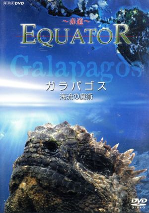 Equator-赤道- ガラパゴス 海流の魔術