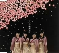 サクラコオル