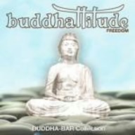 Buddhattitude FREEDOM