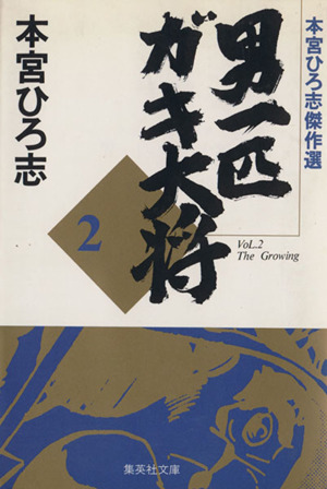 男一匹ガキ大将(文庫版)(2) 本宮ひろ志傑作集 集英社C文庫