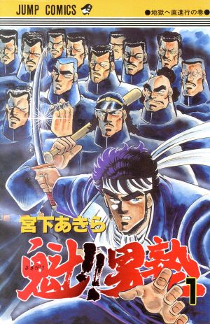 オンライン限定商品】 魁‼︎男塾スピンオフ作品34冊セット 青年漫画 