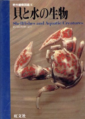 貝と水の生物野外観察図鑑6