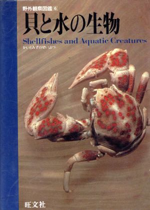 貝と水の生物 野外観察図鑑6