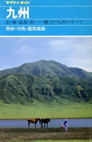 九州 壱岐・対馬・薩南諸島 ヤマケイガイド19