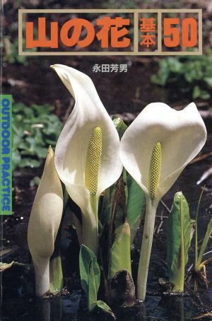 山の花基本50基本50シリーズ