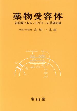 薬物受容体 細胞膜にあるレセプターの基礎知識