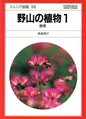 野山の植物(1)野原ジュニア図鑑39