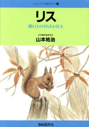 リス 樹の上のやんちゃ坊主 山の小さな動物たち3