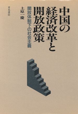 中国の経済改革と開放政策 開放体制下の社会主義