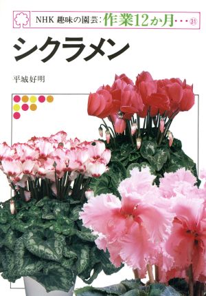 趣味の園芸 シクラメン NHK趣味の園芸 作業12か月31