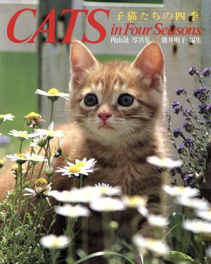 CATS in Four Seasons子猫たちの四季 内山晟写真集